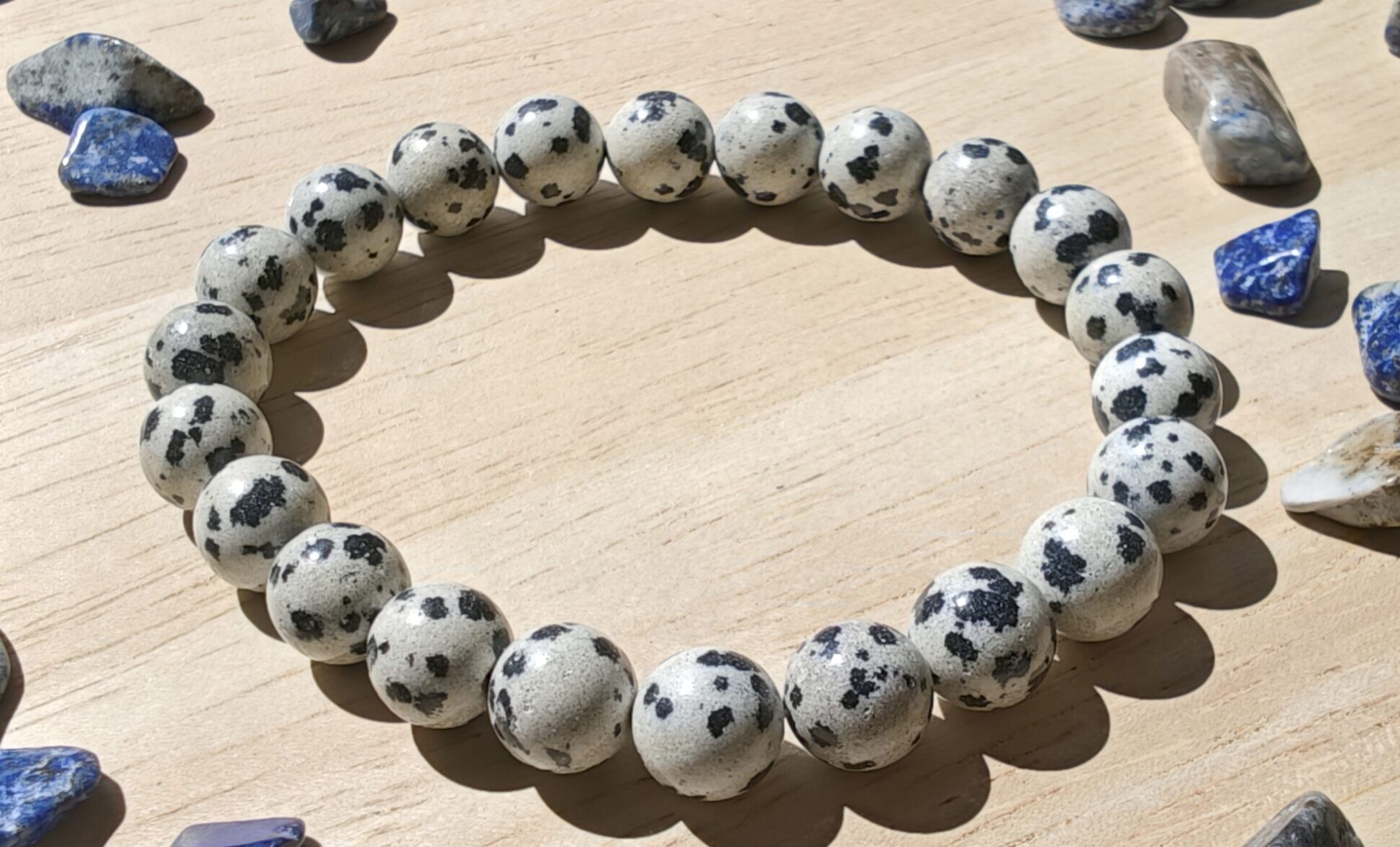 dalmatian
