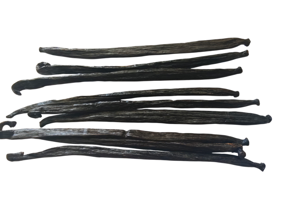 Vanilla Tahitensis Papua Reserve - Image 2