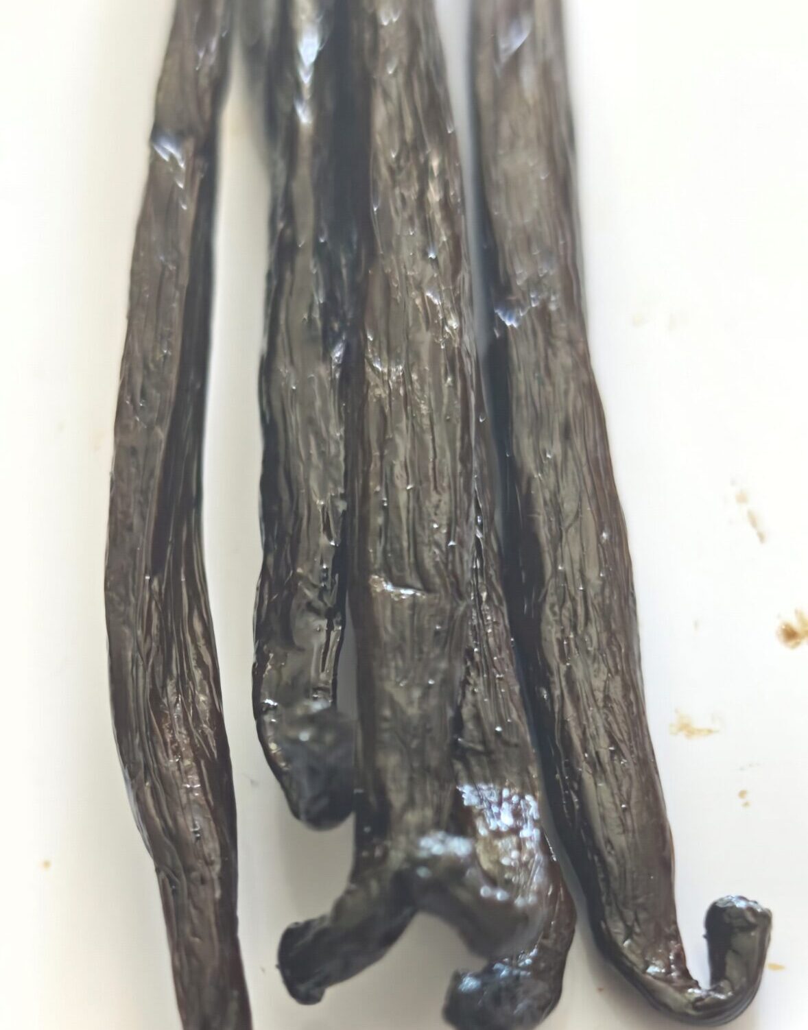 vanilla bourbon xl greenhouse