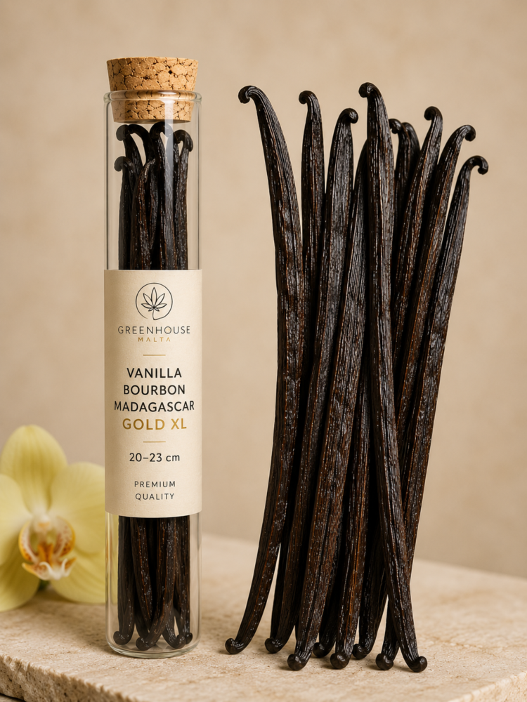 vanilla bourbon xl