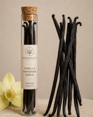Vanilla Tahitensis Papua Reserve