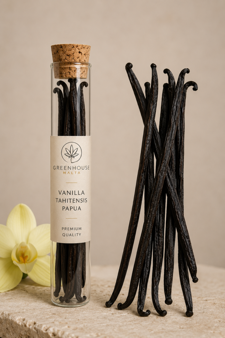 Vanilla Tahitensis Papua Reserve